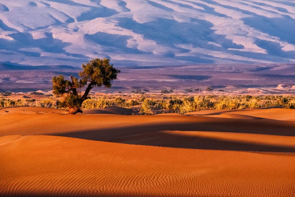 Le désert au Maroc